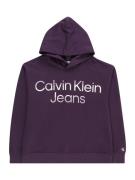 Calvin Klein Jeans Collegepaita  syreeni / marjat / valkoinen