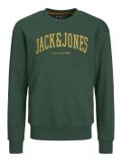 Jack & Jones Junior Collegepaita 'Josh'  curry / tummanvihreä