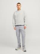 JACK & JONES Gargohousut 'Paul Flake'  harmaa