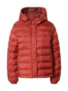 LEVI'S ® Välikausitakki 'Edie Packable Jacket'  punainen