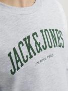 Jack & Jones Junior Collegepaita 'Josh'  meleerattu harmaa / kuusi