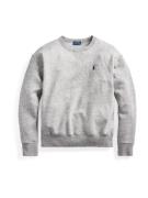 Polo Ralph Lauren Collegepaita 'LS PO-LONG SLEEVE-KNIT'  harmaa