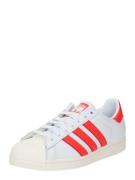 ADIDAS ORIGINALS Matalavartiset tennarit 'SUPERSTAR'  verenpunainen / ...