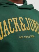 Jack & Jones Junior Collegepaita 'JJEJosh'  keltainen / kuusi