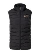 EA7 Emporio Armani Liivi  kulta / musta