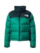 THE NORTH FACE Talvitakki '1996 Retro Nuptse'  smaragdi / kuusi / valk...