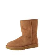 UGG Talvisaappaat 'Australia Classic'  vaaleanruskea