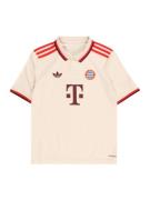 ADIDAS PERFORMANCE Toiminnallinen paita 'FC Bayern 24/25'  kerma / sin...