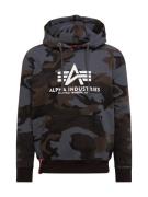 ALPHA INDUSTRIES Collegepaita  ruskea / harmaa / musta / valkoinen