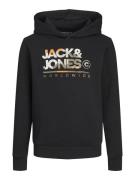 Jack & Jones Junior Collegepaita 'JJLuke'  mudanvärinen / vaaleanharma...