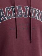 JACK & JONES Collegepaita 'JJECaleb'  tummansininen / viininpunainen /...