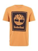 TIMBERLAND Paita  vaaleanruskea / musta