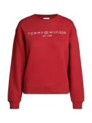 TOMMY HILFIGER Collegepaita  laivastonsininen / verenpunainen / valkoi...