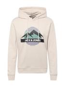 JACK & JONES Collegepaita 'JJPEAK'  ecru / tummanvioletti / musta / va...