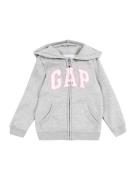 GAP Collegetakki  harmaa