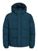 JACK & JONES Talvitakki 'JJEBRADLEY'  petrooli