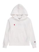 Champion Authentic Athletic Apparel Collegepaita  laivastonsininen / v...