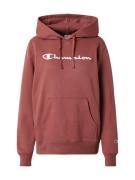 Champion Authentic Athletic Apparel Collegepaita  suklaa / punainen / ...