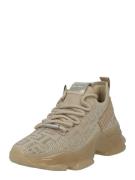 STEVE MADDEN Matalavartiset tennarit 'Maxout'  tummabeige / hopea