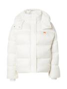 ELLESSE Talvitakki  offwhite