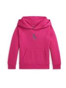 Polo Ralph Lauren Collegepaita  fuksia