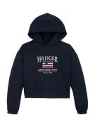 TOMMY HILFIGER Collegepaita  laivastonsininen / rubiininpunainen / val...