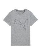 PUMA Toiminnallinen paita 'TAD ESSENTIAL'  meleerattu harmaa / musta