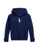 Polo Ralph Lauren Collegepaita  laivastonsininen / valkoinen