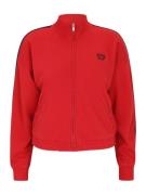 Gap Petite Collegetakki  marine / punainen