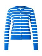 Polo Ralph Lauren Neuletakki  sininen / valkoinen