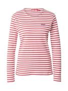 Derbe Paita  sininen / punainen / offwhite