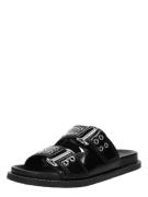 STEVE MADDEN Pistokkaat 'Agent'  musta
