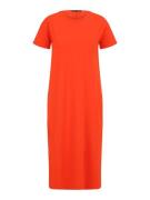 Superdry Mekko  oranssi
