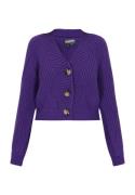 DreiMaster Vintage Neuletakki  tummanvioletti
