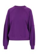 DreiMaster Vintage Collegepaita  tummanvioletti / valkoinen