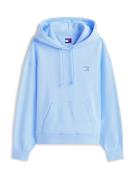 Tommy Jeans Collegepaita  kuninkaallisen sininen / taivaansininen / va...