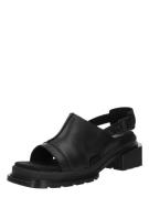 Dr. Martens Sandaalit 'Maybole'  musta