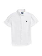 Polo Ralph Lauren Pusero  valkoinen