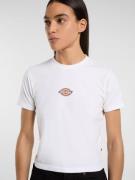 DICKIES Paita 'MAPLE VALLEY'  valkoinen