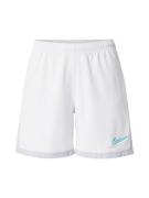 NIKE Urheiluhousut 'ACD25'  harmaa / vaaleanharmaa