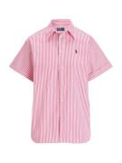 Polo Ralph Lauren Pusero  vaaleanpunainen / offwhite