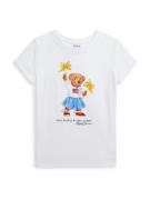 Polo Ralph Lauren Paita  taivaansininen / mokka / keltainen / valkoine...