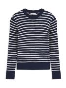 TOMMY HILFIGER Neulepaita  laivastonsininen / valkoinen