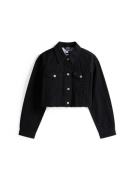 Tommy Jeans Välikausitakki  punainen / musta / musta denim / valkoinen