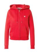 GUESS JEANS Collegetakki  punainen