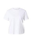 Calvin Klein Paita 'CLSSC'  valkoinen