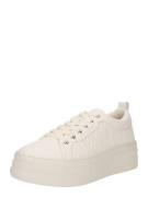 ARMANI EXCHANGE Matalavartiset tennarit  offwhite