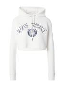 AÉROPOSTALE Collegepaita  laivastonsininen / offwhite