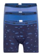 Shorts Blue Schiesser