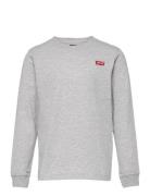 Levi's® Long Sleeve Graphic Tee Shirt Grey Levi's